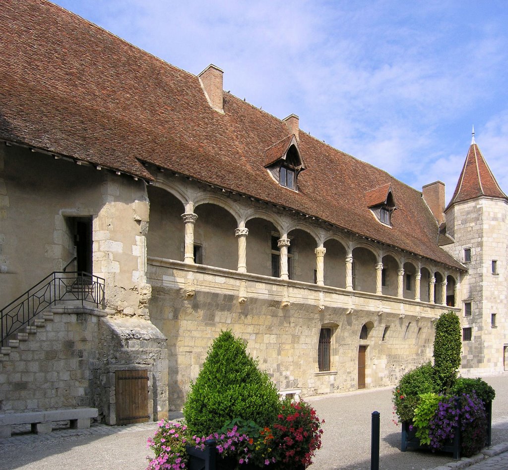 Nérac, le château-musée Henri IV by mady77