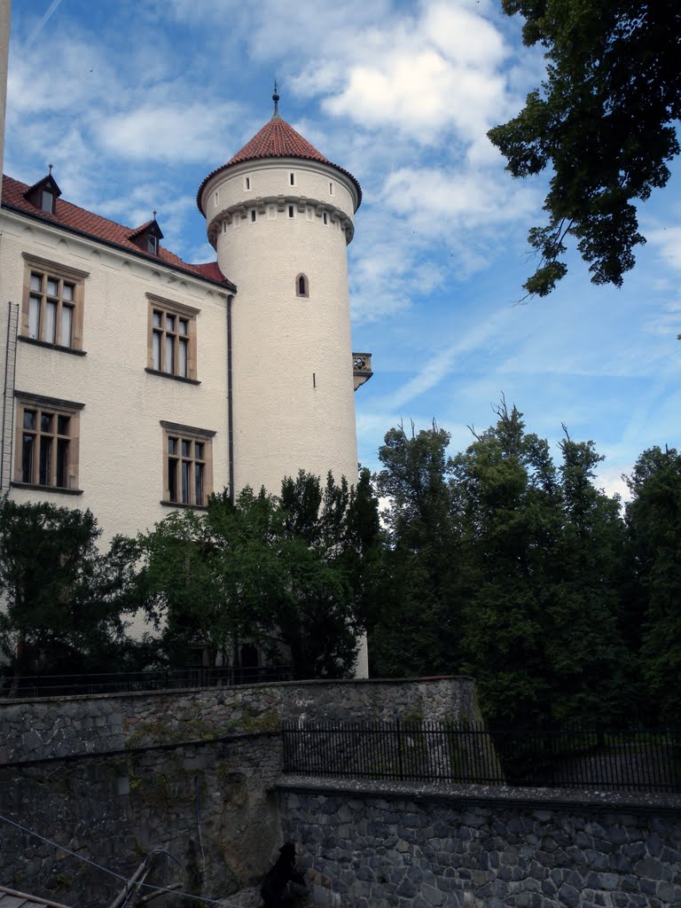 Konopiště Castle by Giuseppe D'Ambrosio