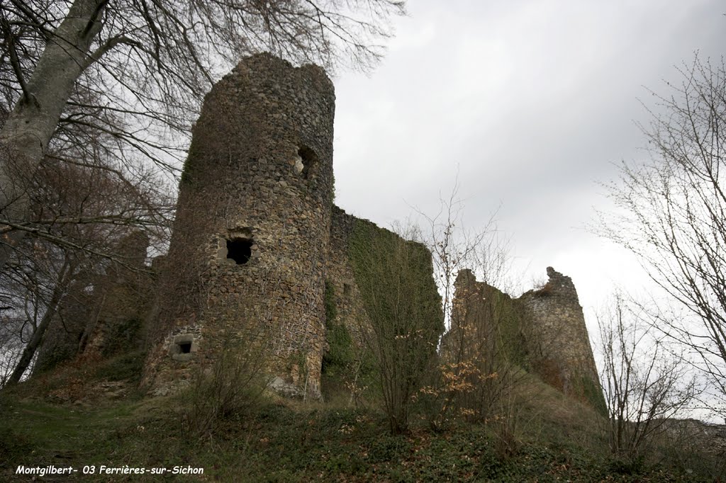 03 Ferrières-sur-Sichon - Château Montgilbert by H. Rebours