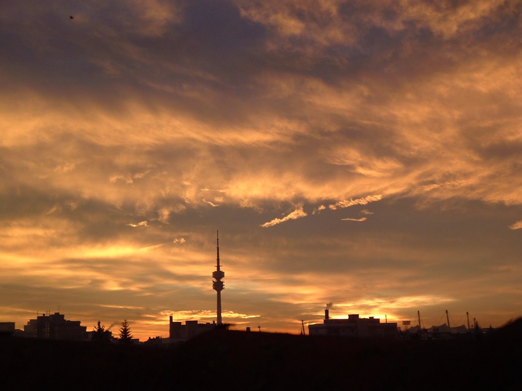 Müchen Blick auf Olympiaturm by Regina Stergar