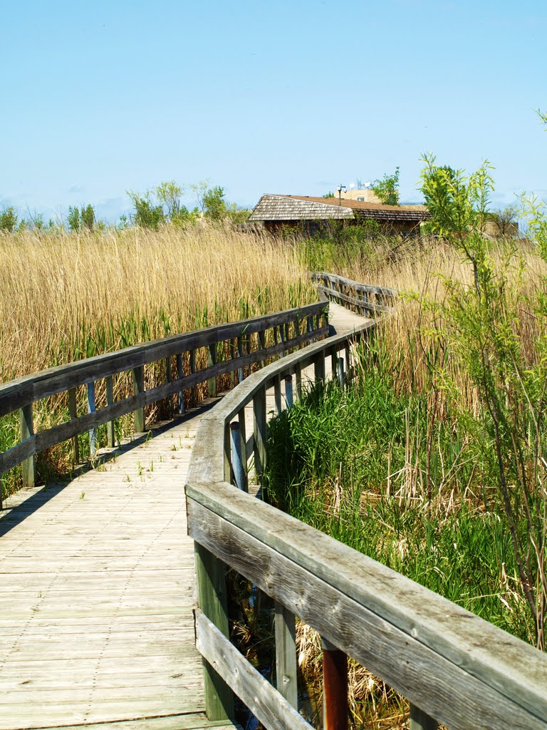 Oak Hammock Marsh, Manitoba, Canada by Shahnoor Habib Munmun