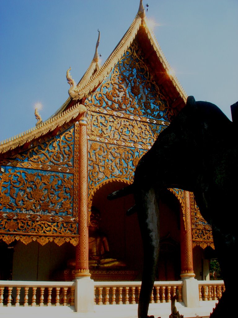 Elephant before Wat by Adam Sichta