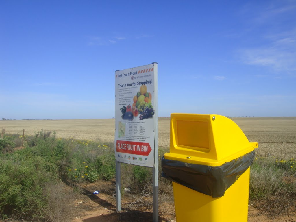 Sturt Highway Rest stop by Geniene Prater