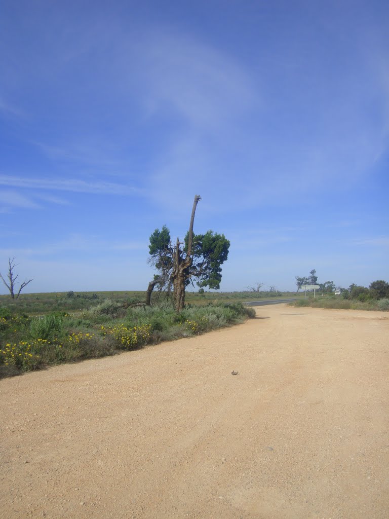 Sturt Highway Rest stop by Geniene Prater