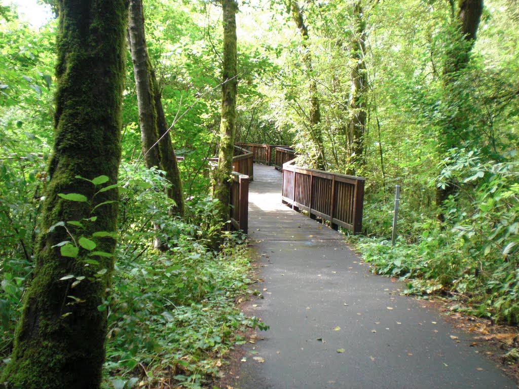 Tualatin Hills Park by fuji38yasu