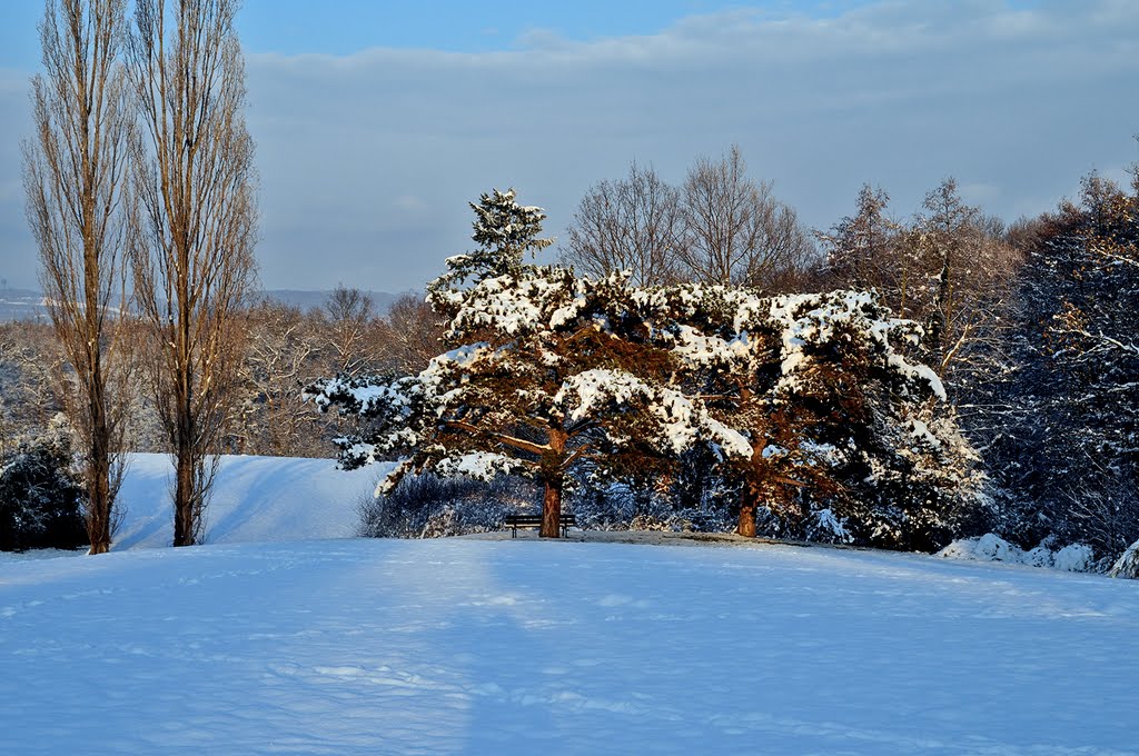 Région lyonnaise Parc de Croix laval après-midi d' hiver (Enlarge please) by Atama