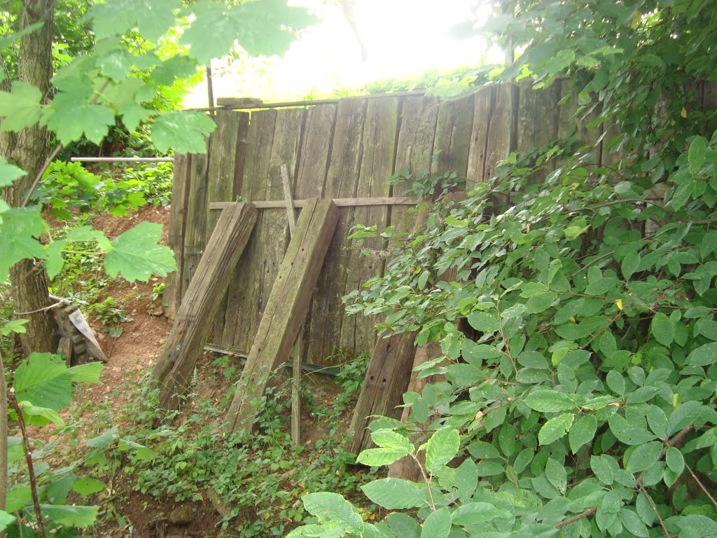 Bahnschwellen vom alten Verlauf der Bahnstrecke Gehren - Großbreitenbach by mwiemartin