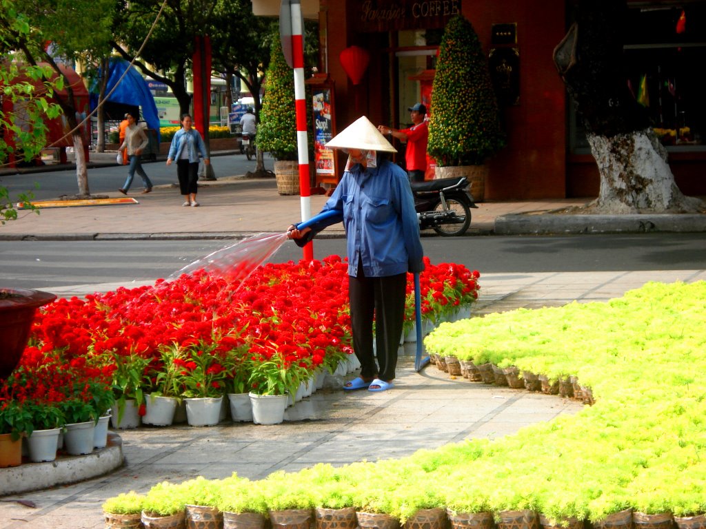 Watering the Flowers by Adam Sichta