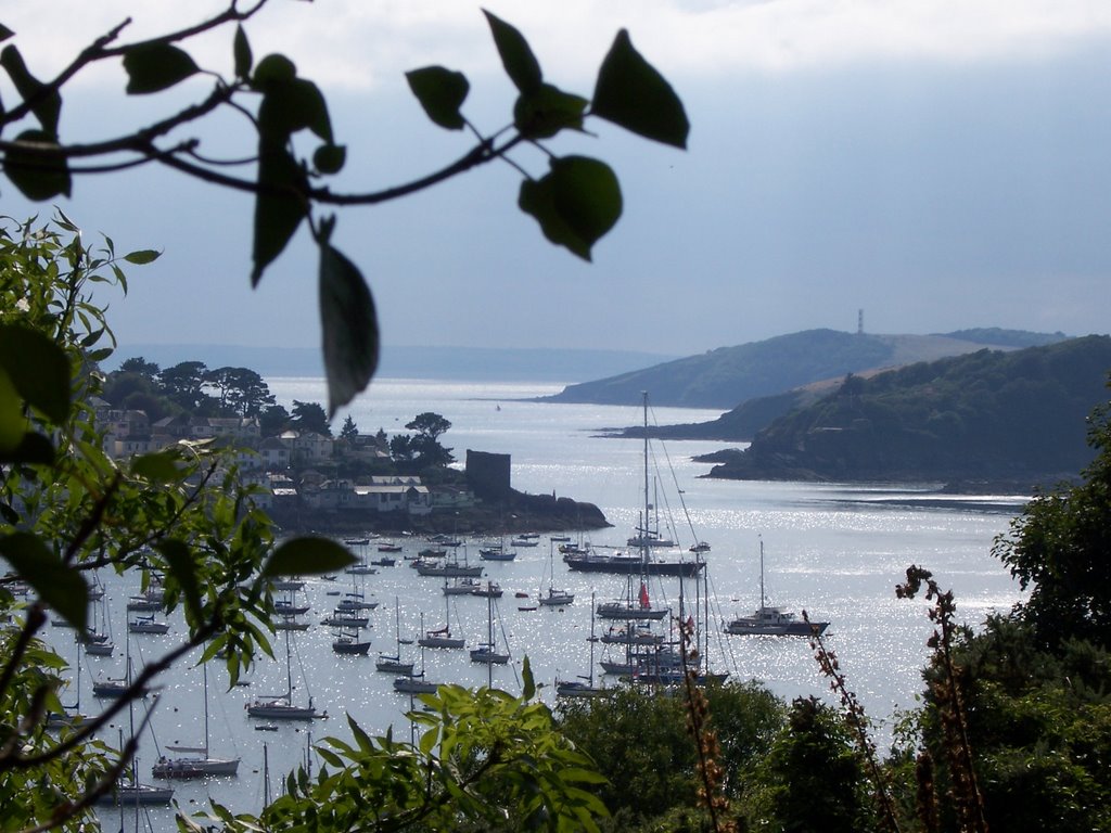 Overlooking Polruan by S. Page