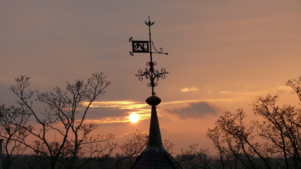 Wetterfahne auf Burg Falkenstein by FrontRunner