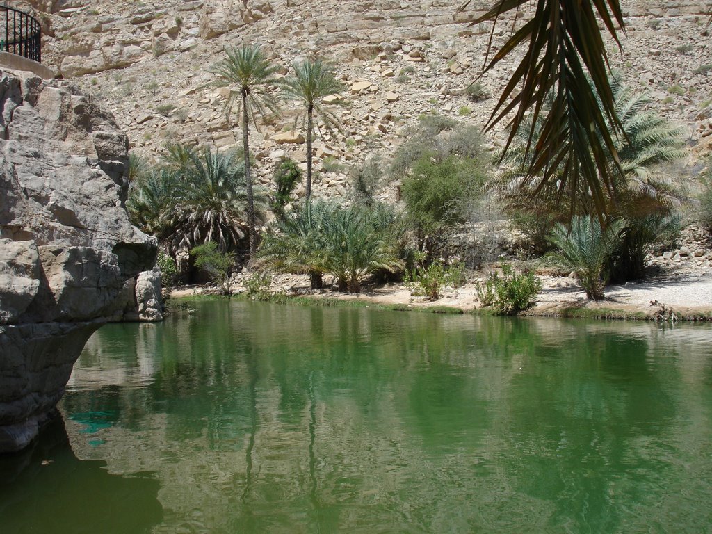 Wadi Bani Khalid HN2 by hnuecke