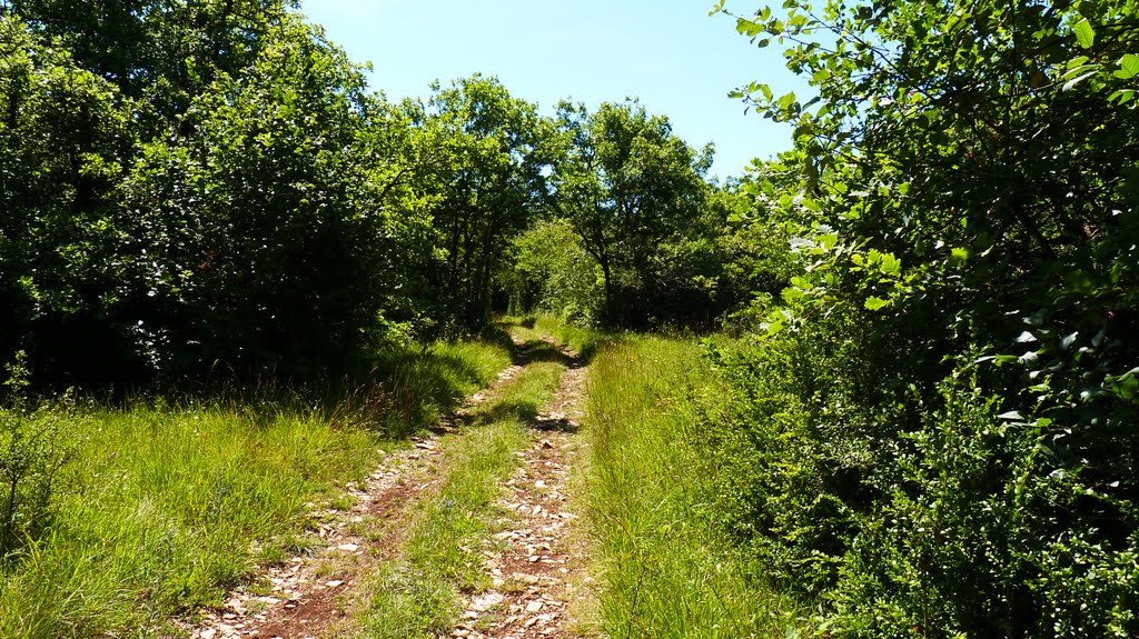 Promenade en Bourgogne by Rudy Pické