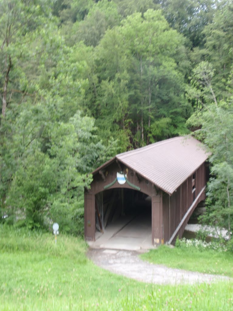 Die Holzbrücke über die Sihl by SympathyNP