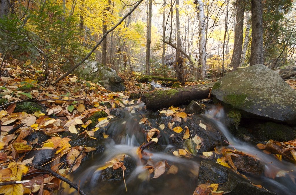 Saint-Joachim, QC, Canada by Emmanuel Amador