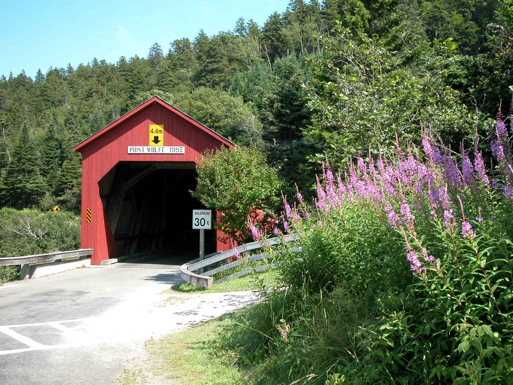 Nouveau Brunswick, pont couvert pres de Alma by Denis Bernier