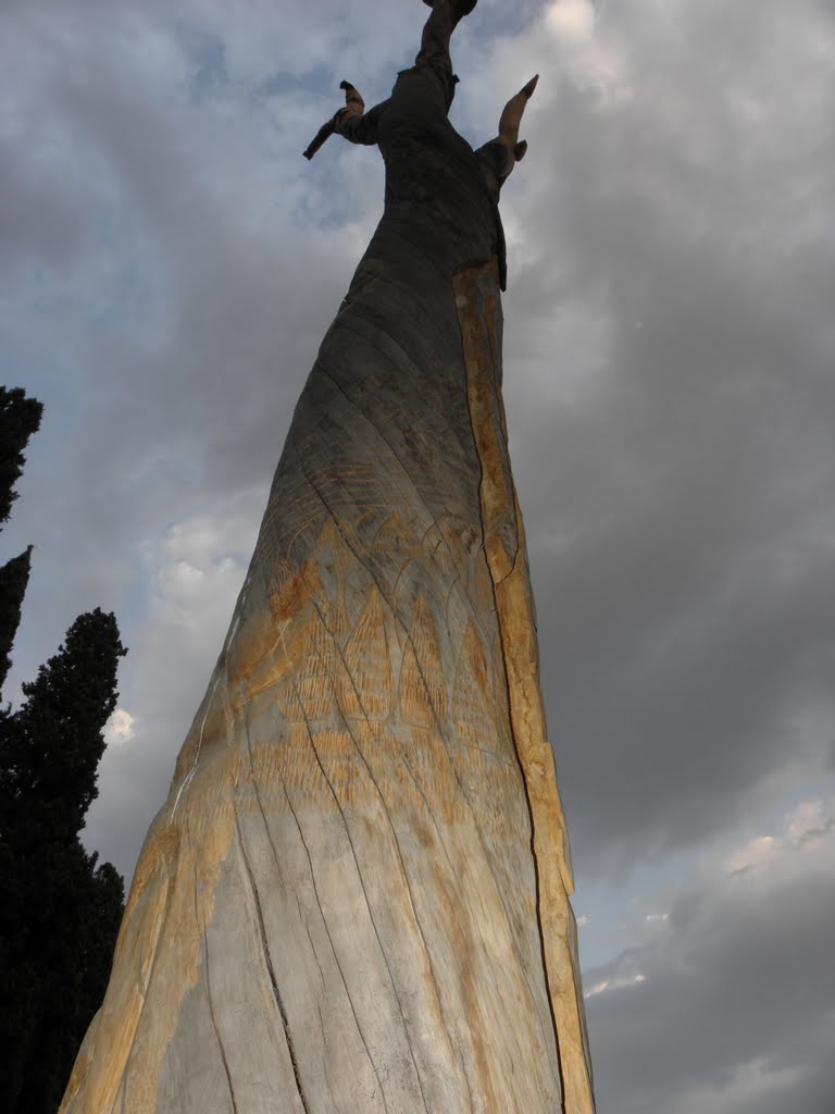 Jahan nama garden by Yalda Yazdan-panah