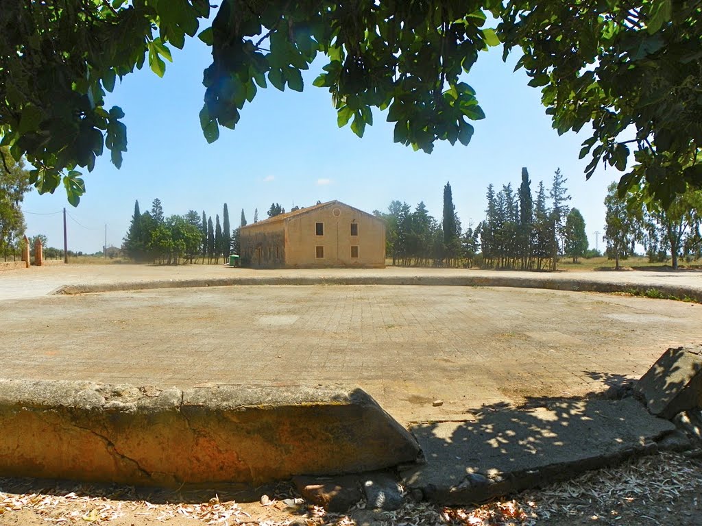 Era a l'entrada del parc Samà by jordi domènech