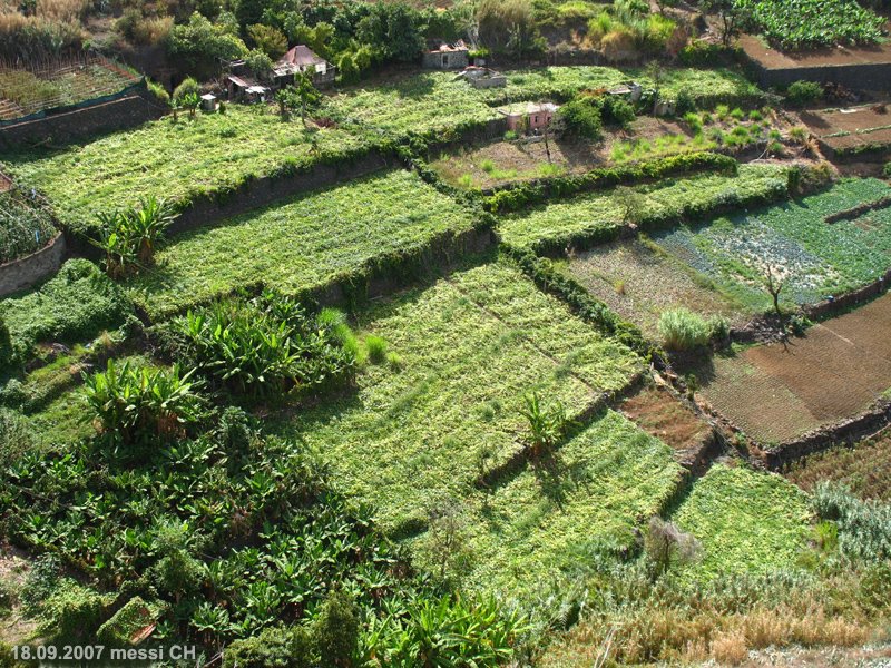 (messi07) Planted terraces along the Levada Trail [160°] by ©polytropos