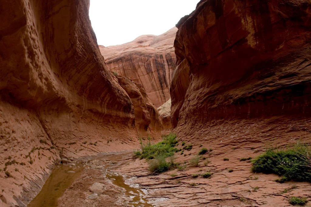 Willow Creek Canyon by swiss-guy