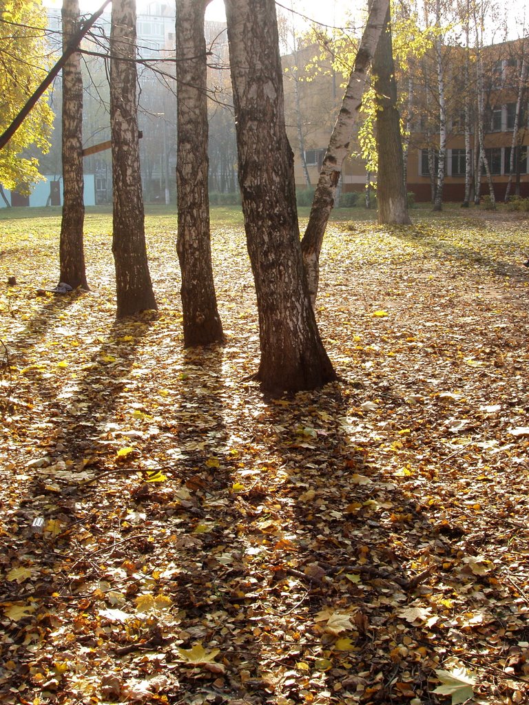 Autumn in the court of the school of №17. Осень во дворе школы №17 by Joger