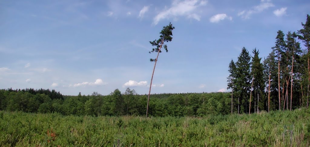 U Hradčan - "Ralsko" - Máchův kraj by Rodrich