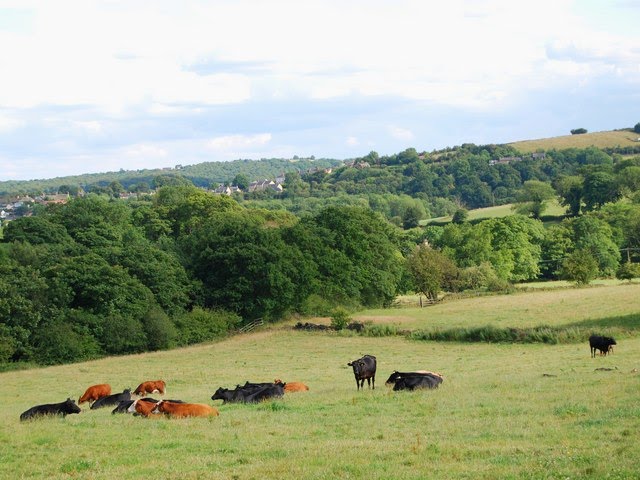 View from Shorts Lane to Totley by Neil in Sheffield UK