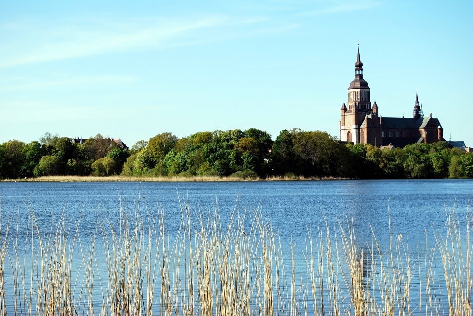 Blick über den Frankenteich by Garzer