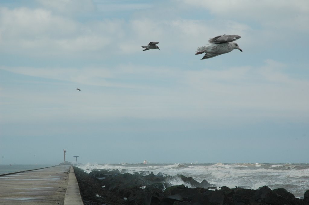 Hoek van Holland, pier by René Speur