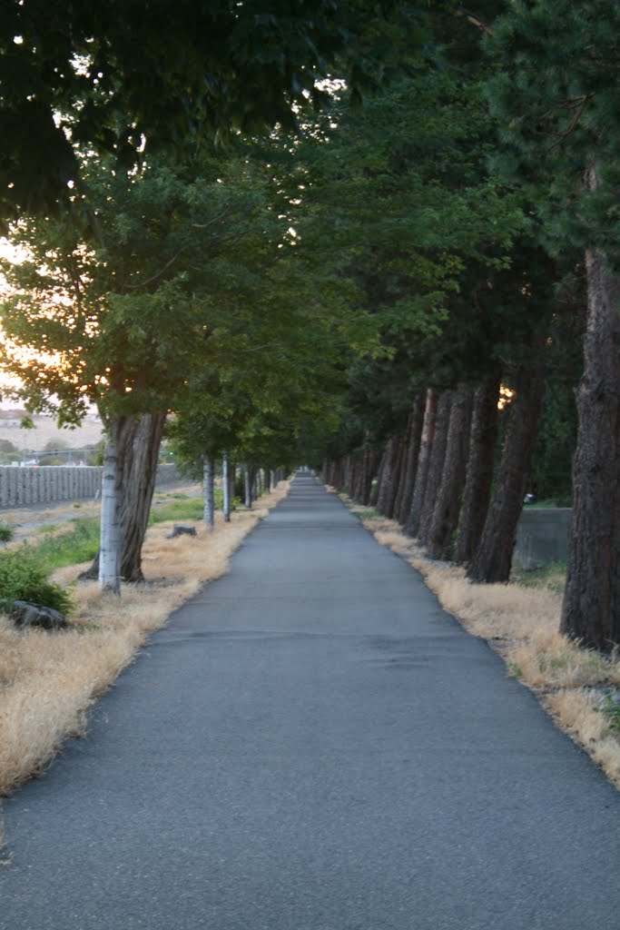 Green Belt Trail by drdanmc