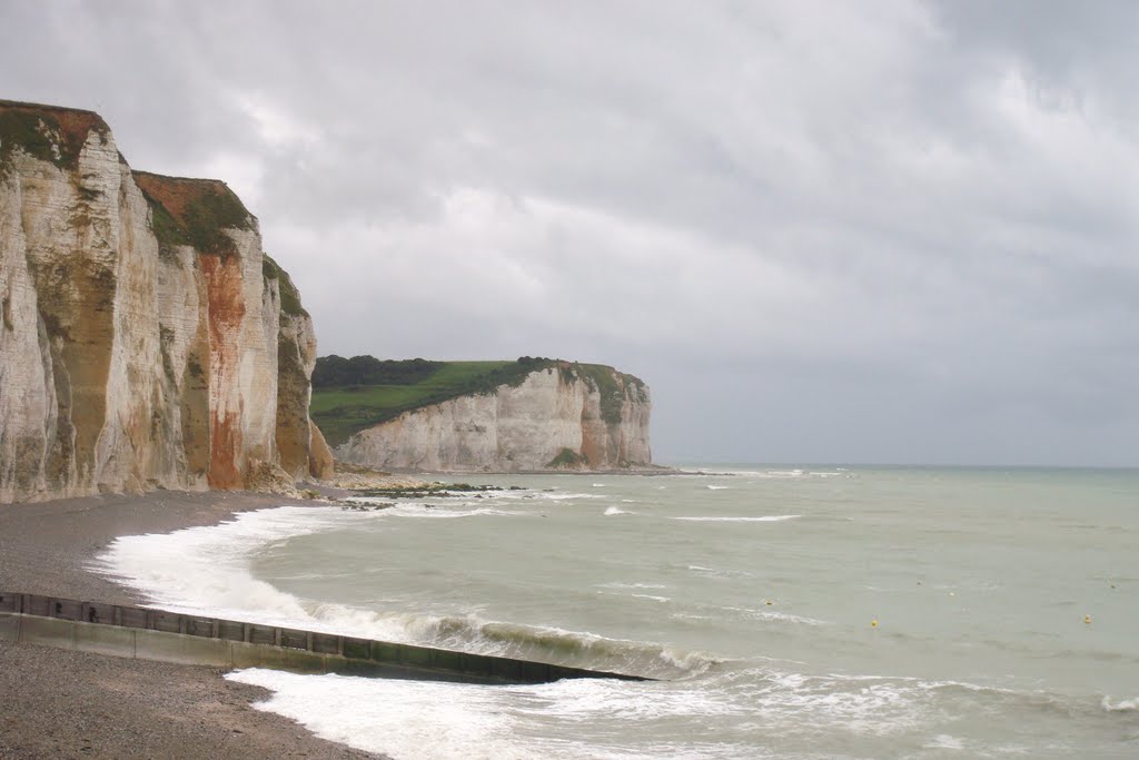 Falaises des Grandes Dalles by BOUCLY Françoise