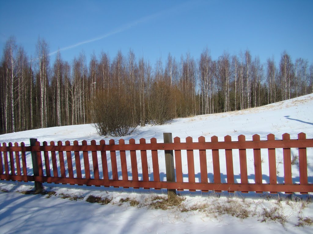 Ski Track on Paloheinä Hill by PlamenB