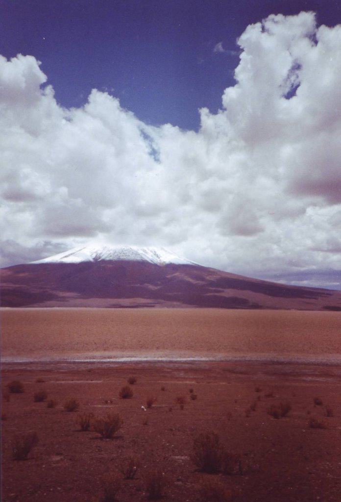 Salar de Ascotan by Ton Peters