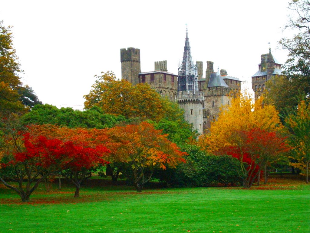 Cardiff Castle in autumn by costincaval