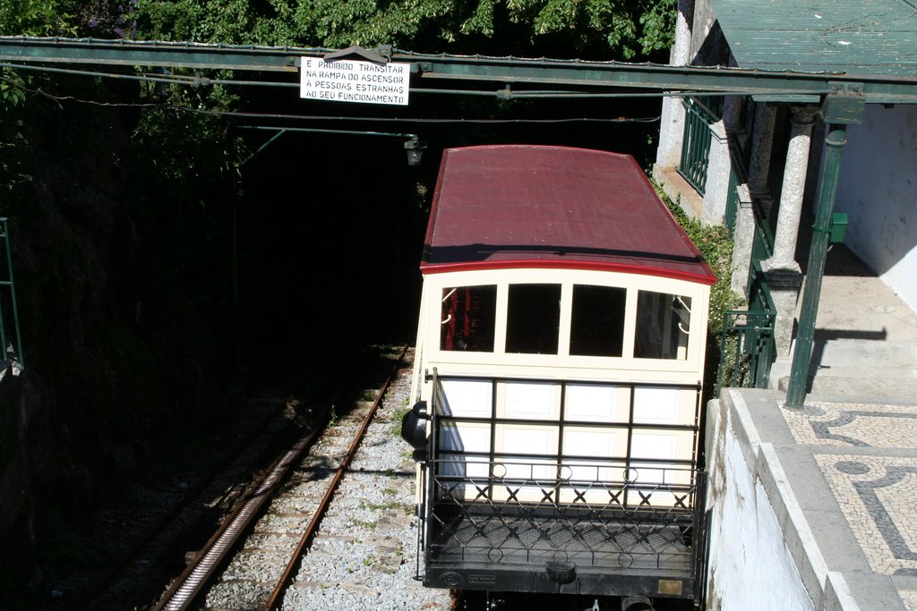 Bom Jesus - Funicular by Ricardo Costa Lima