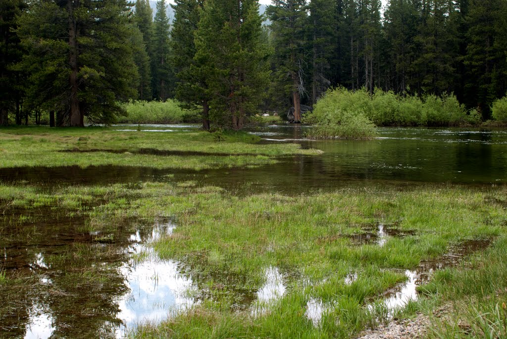 Tuolumne River, Tuolumne Meadows Panorama1 by Larry Butcher