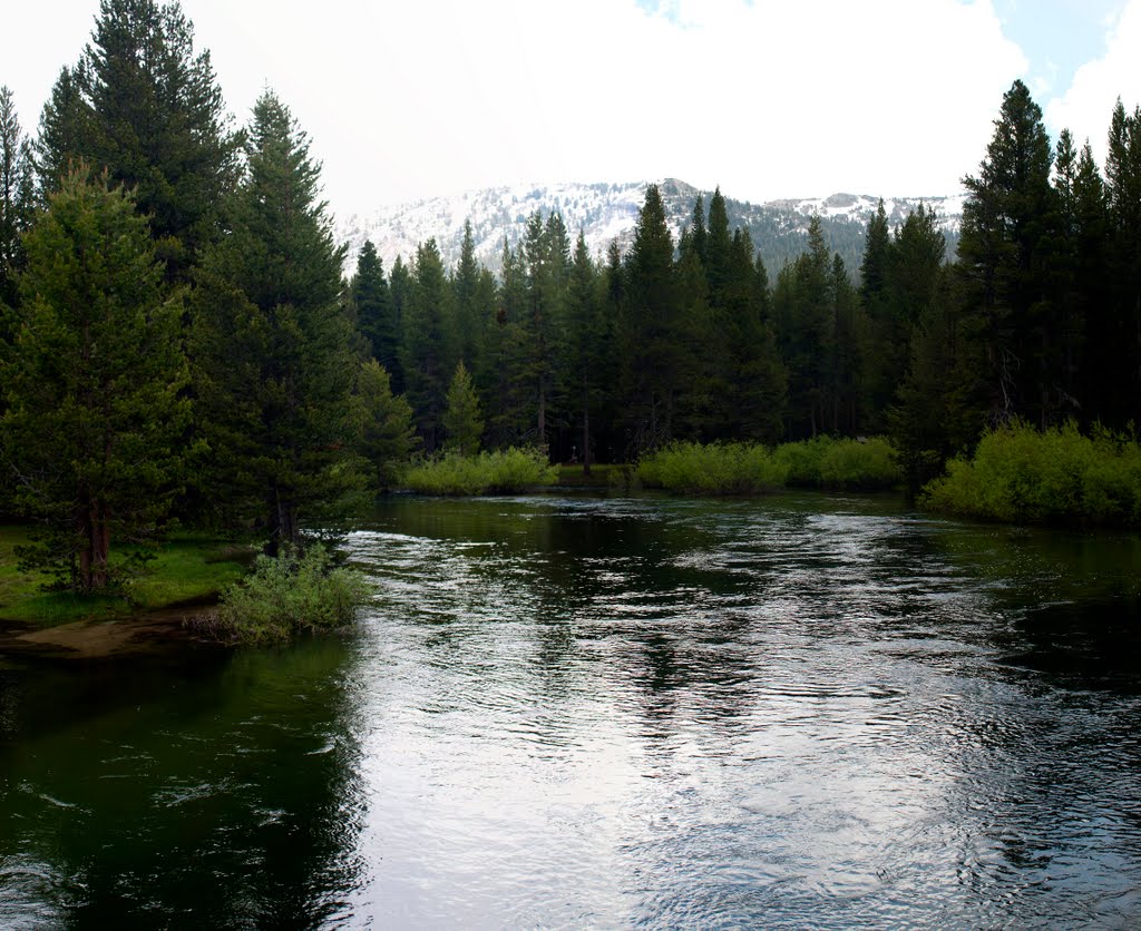 Tuolumne River, Tuolumne Meadows Panorama4 - 735 by Larry Butcher