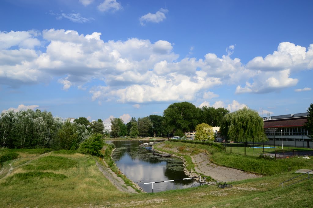 Rábca-torkolat by Szijártó Ernő