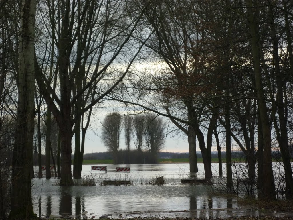 Hochwasser by Pöppellennep