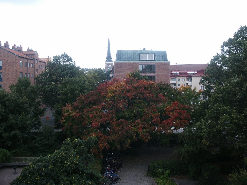 The view from "Växhuset" in Västerås by Ben_DeRoy