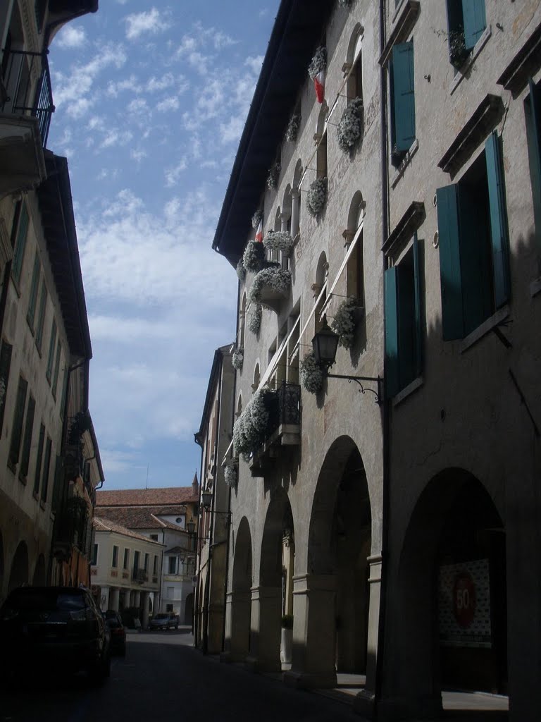 Palazzo Tomitano by Giampietro Pasqualini