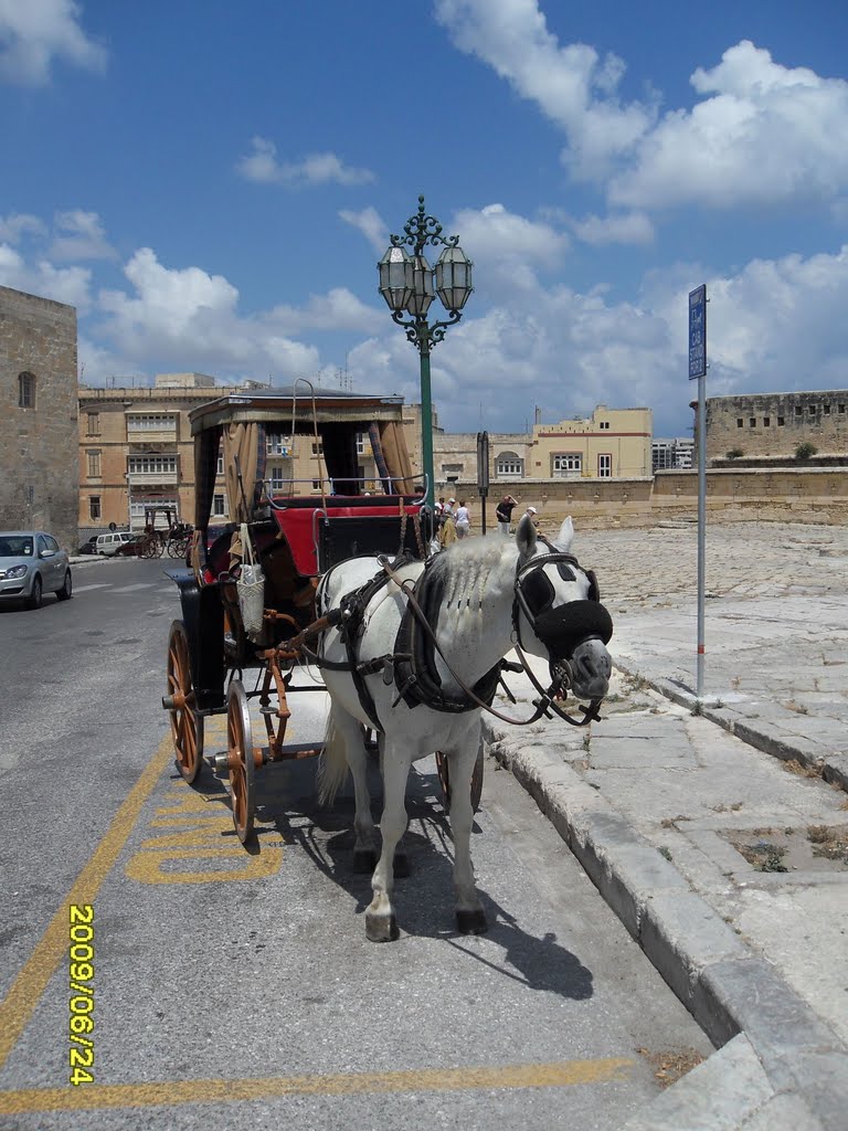 Malta Urlaub 2009 by Nico W