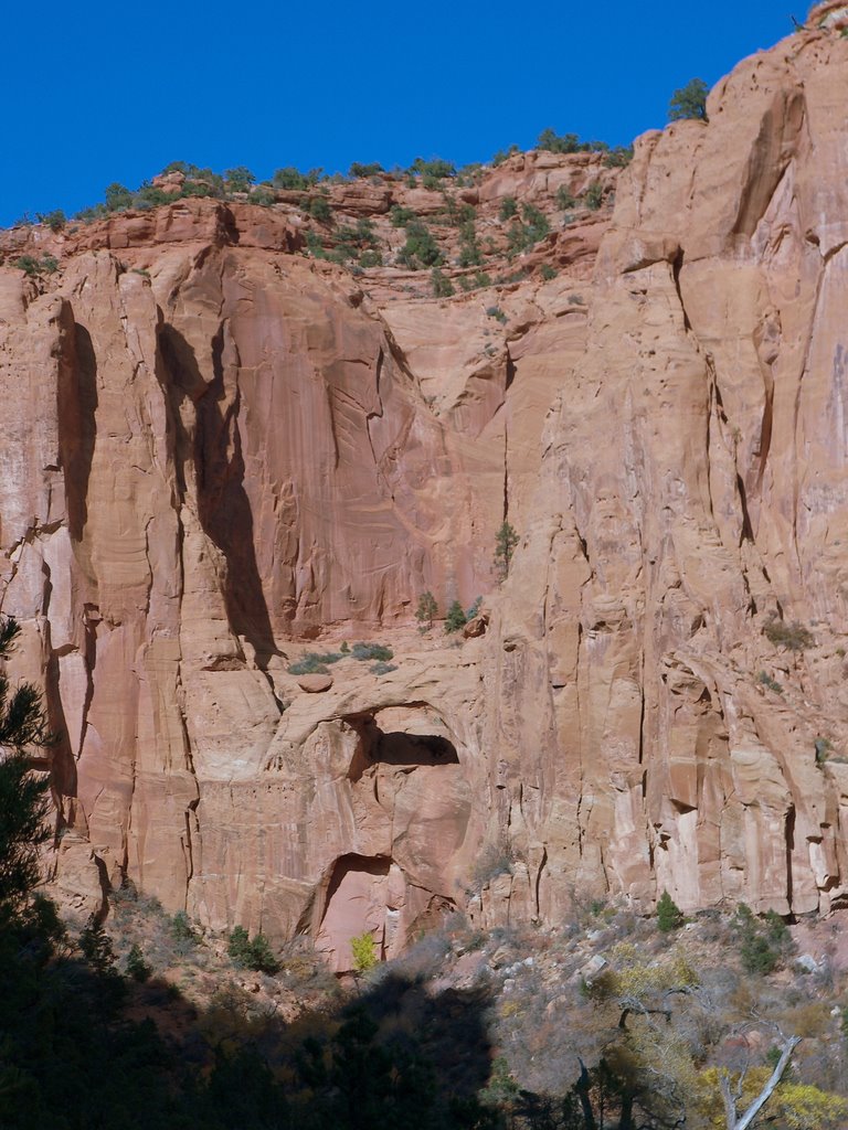 Lamanite Arch by Deborah Lee Soltesz