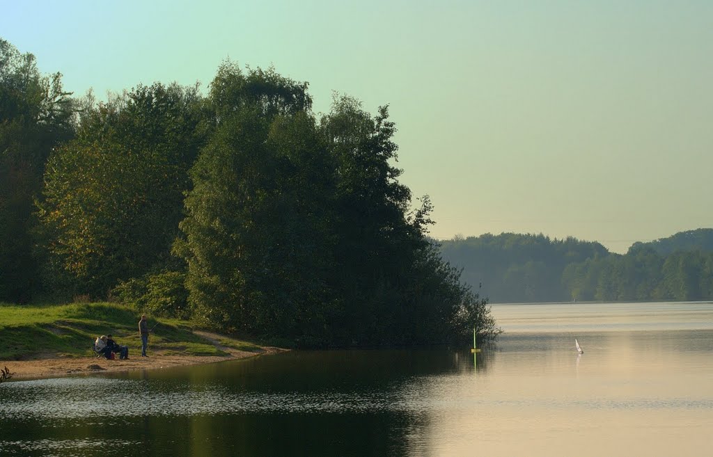 Sailboats from the shore. by Lauren Keith