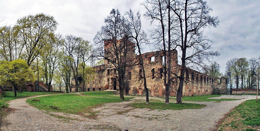 ZĄBKOWICE ŚLĄSKIE - ZAMEK ( Frankenstein ) by Łukasz Świetlik