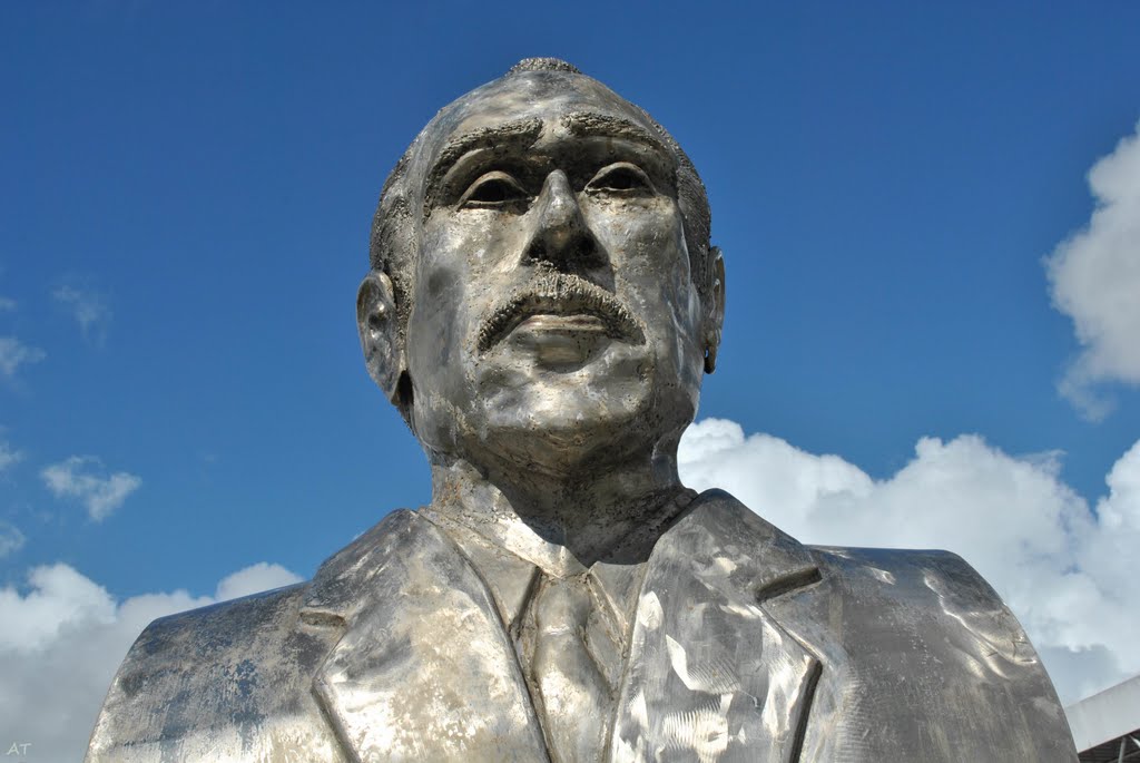 Busto do médico Nestor Piva. by André Teixeira