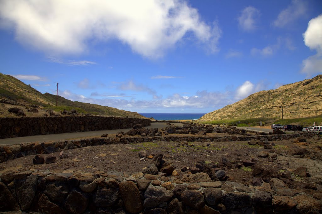 In Makapuu Point State Wayside, Honolulu, HI by aleksolo