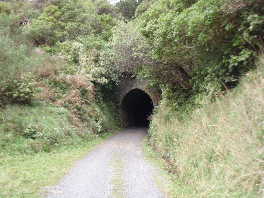 Pakuratahi Tunnel, Rimutaka Rail Trail, Pakuratahi Forest by SnapDecision