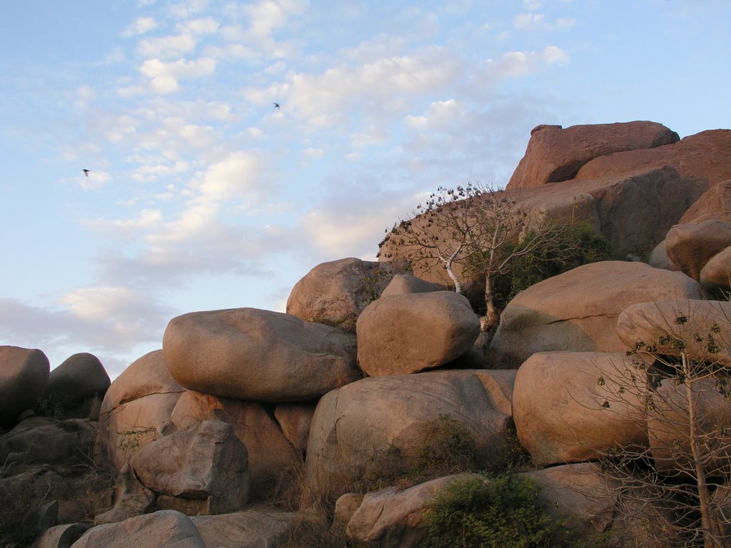 Hampi by pogoconsulting