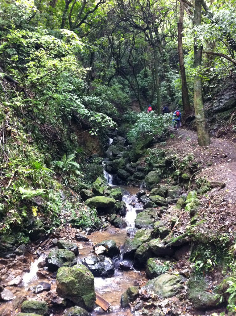 Waterfall Track, Percy Scenic Reserve by SnapDecision