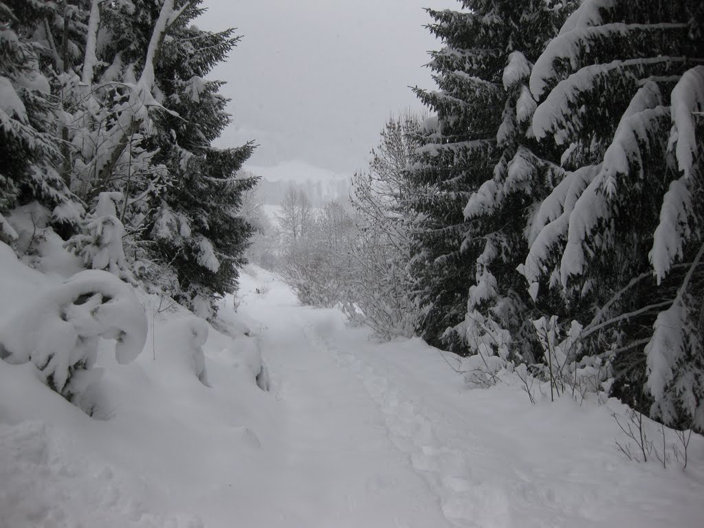 Schneeschuh wandern in Radstadt by gaestehaus-christlcom